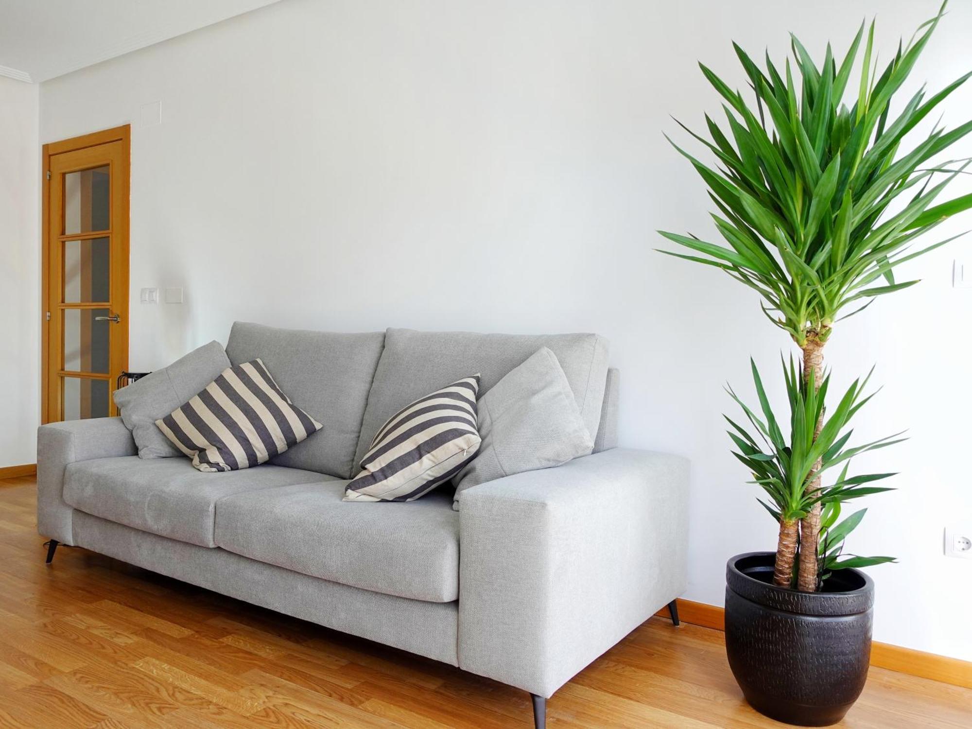 Atalaia Apartment Foz Esterno foto